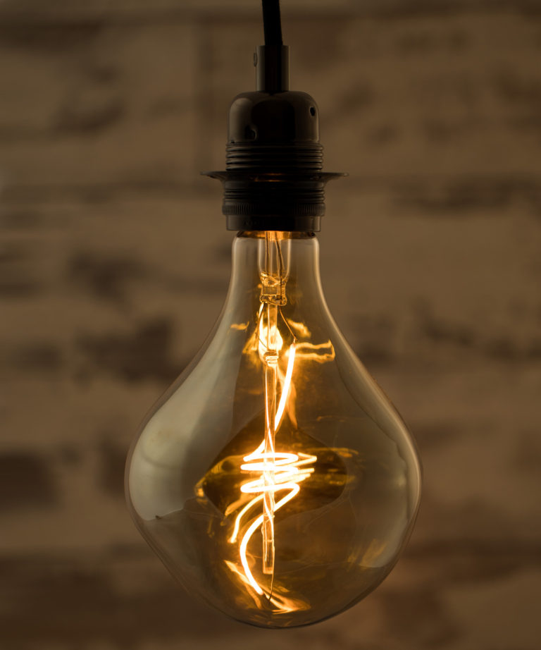 Wabi Sabi Sculpture Extra Large Filament LED Bulb 4W Dimmable